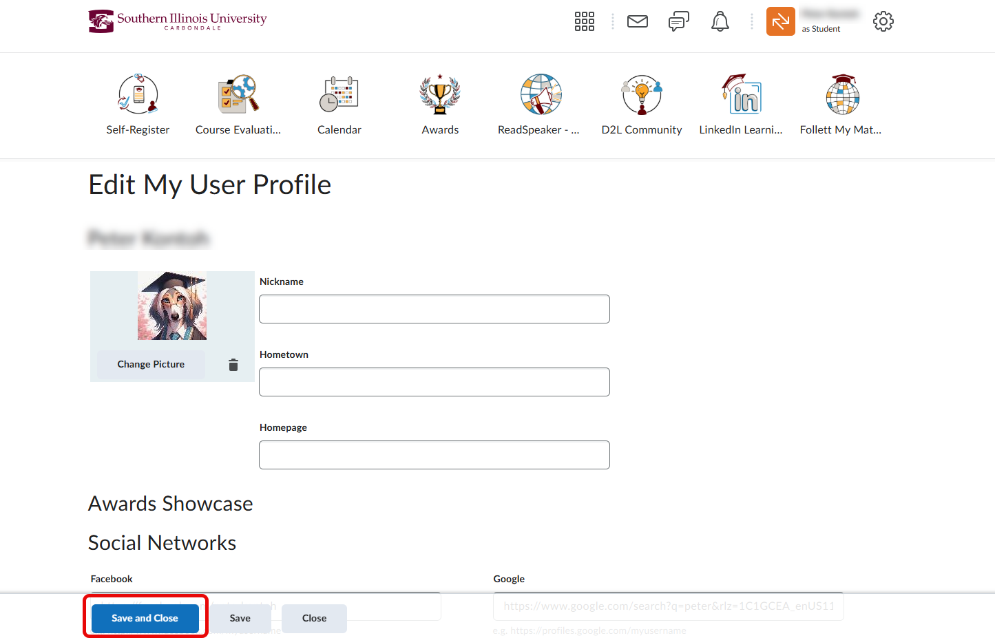 A screenshot of an updated picture page, highlighting in red, the "Save and Close" button.