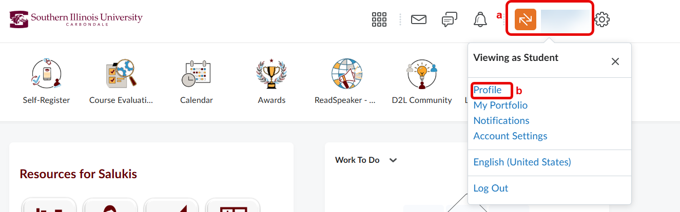 A screenshot of D2L Brightspace page, highlighting in red (a) profile name and (b) red highlight of "Profile"