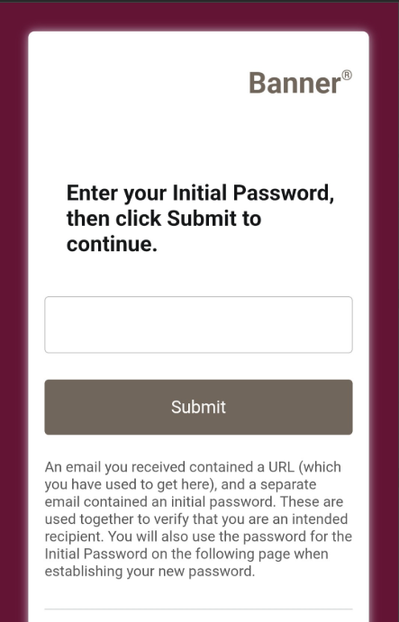 Screenshot of initial password field